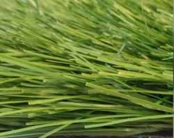 Grass 70/14 artificial grass surface