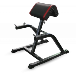 Bicep Curl Bench (Scott Bench)