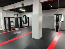 Boxing Bag for Uppercuts, Silhouette, and Hooks