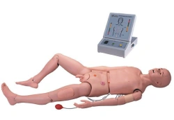 Multifunctional Adult Manikin for Healthcare Training (Art. 3000)