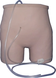 Peritoneal Dialysis Training Mannequin F1