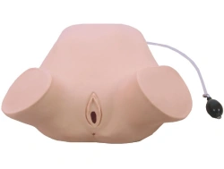 Leopold Skill Training Simulator for Anal and Vaginal Examination W-2