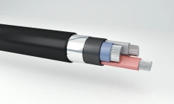 Aluminum Conductor Power Cables with Plastic Insulation, 3 kV - AVBShvng(A)