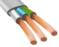 Flat PVC Insulated Copper Wire for 380/660V Networks