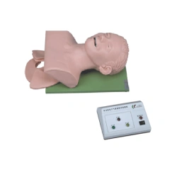 Tracheal Intubation Electronic Model, FA5003/3