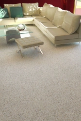 Neva Taft Floor Carpets Made of Polypropylene Fibers