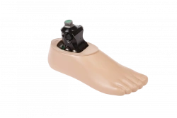 Adjustable Carbon Fiber Prosthetic Foot with Hydraulic Heel Height System