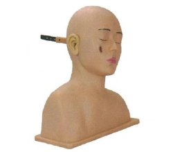 Ear Disease Diagnosis Simulator LV41