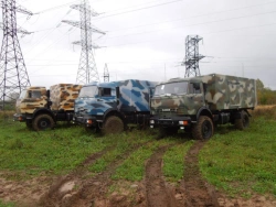 Diesel Trucks for Cargo with KAMAZ-43502D5 Chassis 5796J8, 5796J9