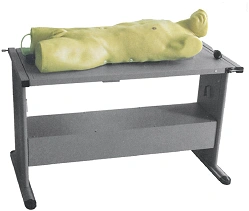 Pleural Cavity and Liver Abscess Puncture Training Model, SK819