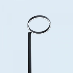 LED Street Ring Light LV-RING D700