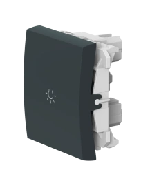 CADUCEUS ALING MODE Push Button Switch, 10A, 250V, Anthracite, Art. 6590.A