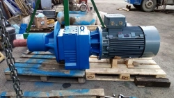 REVTS 303216 Cylindrical Gear Motor with Extended Shaft