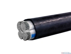 Power Cable with Plastic Insulation for Voltage 0.66; 1kV, AПвВГ Model