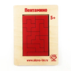 Pentamino Puzzle Educational Game
