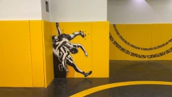 Wall Protector for Safety - Soft Protection for Athletes