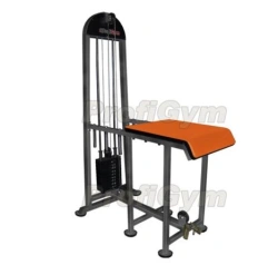 Reverse Hyperextension Machine TG-0470-C