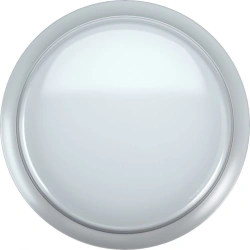 General Purpose LED Light DPB-01-PP-24-GR-5K IP65 SNR