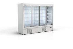 Dynamic Refrigeration Display Freezer for Frozen Products NORDICA 250 NT