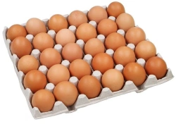 Edible Chicken Egg - Fresh and Nutritional