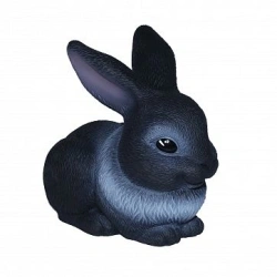 Cute Black Rabbit with White Collar - Marty