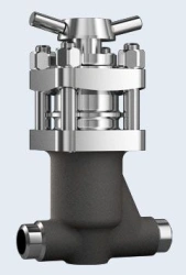 Safety Bellows Shut-off Valve ZT26363 DN 25