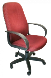 Ergonomic Office Chair KR 01.00.30
