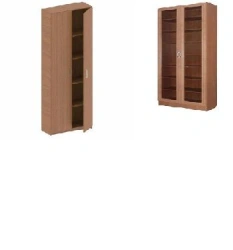 Wooden Two-Door Book Cabinet with Shelves
