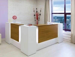 Reception Furniture Series - Stylish Office Reception Solutions