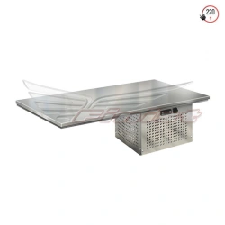 Built-in Static Refrigerated Display for Short-term Food Presentation