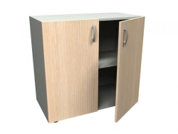 Low Storage Cabinet SHN-05 for Document Organization