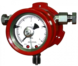 Corrosion-Resistant Pressure Gauge DM5012SgVnKs with Explosion Protection Marking 1Ex db IIB T5 Gb