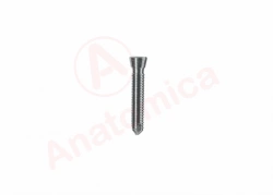 Cortical Screw with Conical Thread for Bone Fracture Fixation