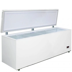 Chest Freezer for Food Industry "Birusa 680FКDQ