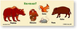 Wild Animals Feeding Game for Kids - Educational Fun