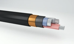 Power Cables with Aluminum Conductors and Plastic Insulation, 3 kV, AVVGEng(A)