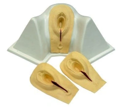 Perineal Incision and Suturing Training Simulator, H1