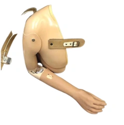 Electromechanical Shoulder Prosthesis with Control System PR8-MVE