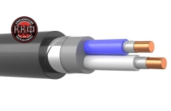 Fire-Resistant Low Smoke Cable for Underground and Indoor Use 2x6 mm² VBSHV ng(A)-FRLS