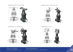Pipeline Shut-off Valve for Steam and Hot Water Systems 2s-32-1
