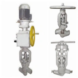 SR Series Control Valves, Type SR