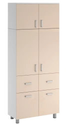 Medical Cabinet for Storage of Supplies and Instruments, Model SHK.13.18 (Mod.1)