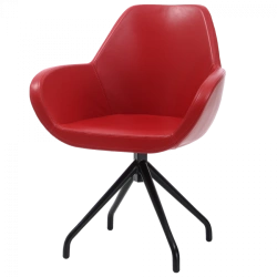 Comfortable and Stylish Chair YAVA