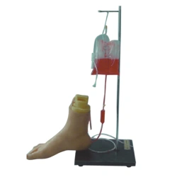 Adult Foot Model for Intravenous Injection Training, H3018