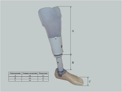 Therapeutic Training Below-Knee Prosthesis - Custom-Made