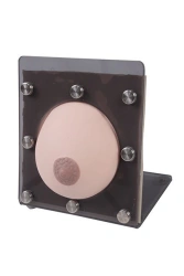 Breast Examination Model GP6621