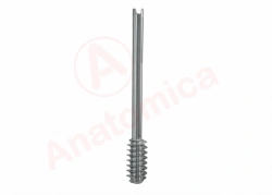 Dynamic Bone Screw for Fracture Stabilization