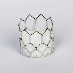 Aortic Heart Valve Prosthesis with Transcatheter Delivery System "MedLab-CT" TU 9444-019-27771122-2014