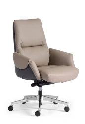 Low-Back Benoit M Chair