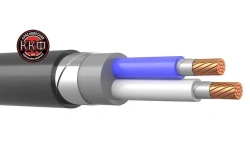 Fire-Resistant Low Smoke Cable for Indoor and Underground Use 2x10 mm² VBSHV ng(A)-FRLS